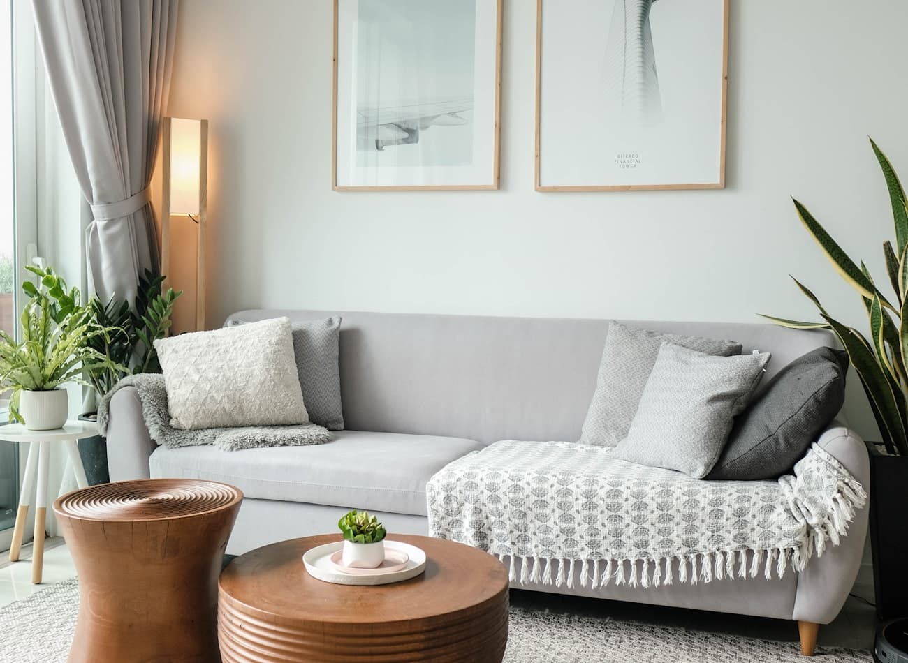 Interior planting against a dark plastered wall